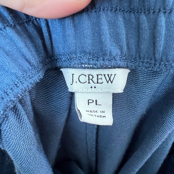 J.Crew Factory Blue Sweatpant Joggers - Picture 4 of 5
